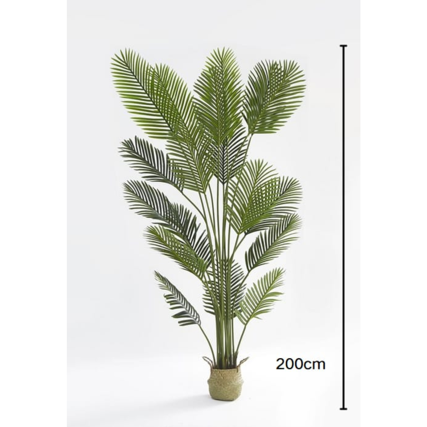 Plante artificielle palmier pot inclus 200 Cm