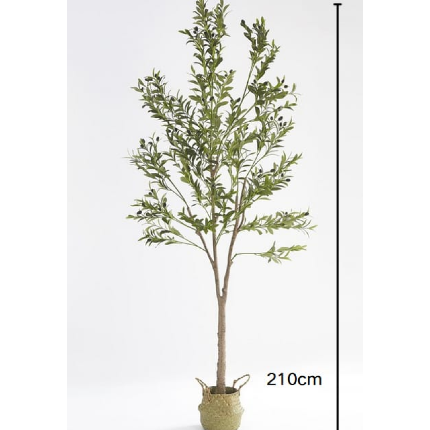 PLANTE ARTIFICIELLE OLIVIER POT INCLUS 210CM