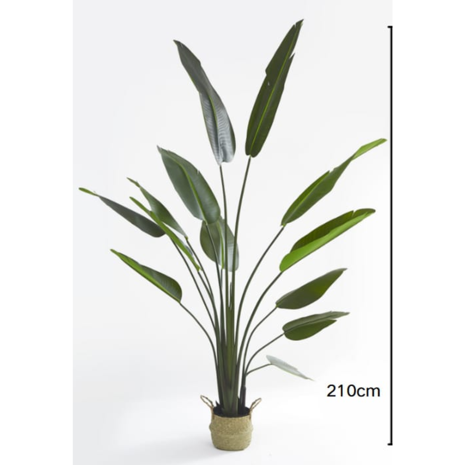 Plante Artificielle Strelitzia Oiseau de Paradis – 210 cm avec Pot